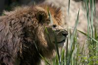 Cjp_2011_08_01_113803 (3).jpg